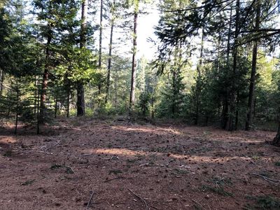 18200 Holley Ravine Rd, Nevada City, CA, 95959