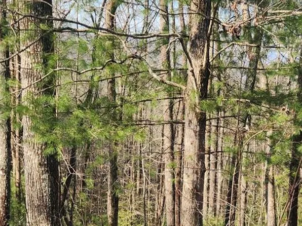 388 Country Hill Rd, Hiawassee, GA 30546