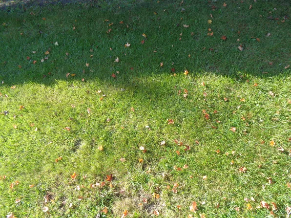 Otis Rd, Coldwater, MI 49036