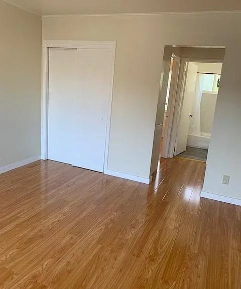 Living area, hall with 2nd large closet