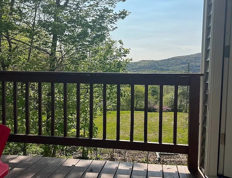 132 Big Hollow Rd #2 — Photo 9