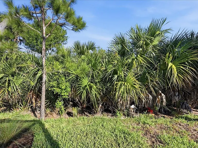 25029 Pearl Lake Cir — Photo 40