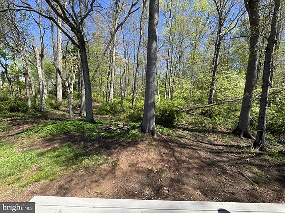 3rd image of 108 Williamson Ct
