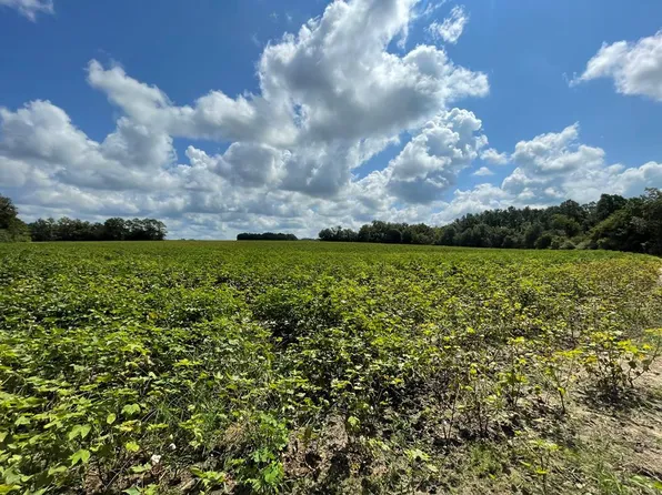 0 Astor Rd, Rebecca, GA 31783