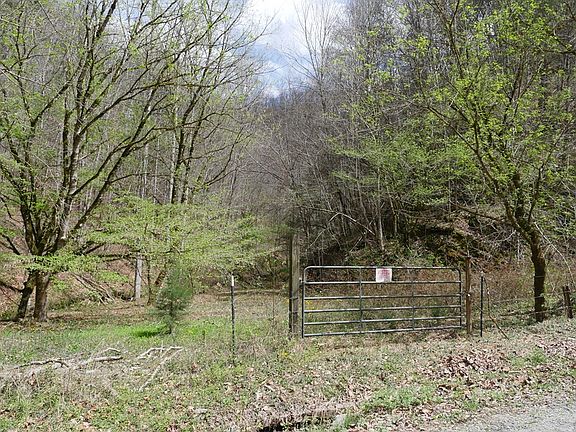 3rd image of Fowlers Branch Rd
