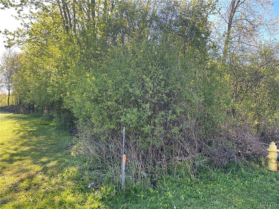 1st image of 212 Dunning Ave Lot 6