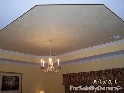Master Bedroom & Tray Ceiling