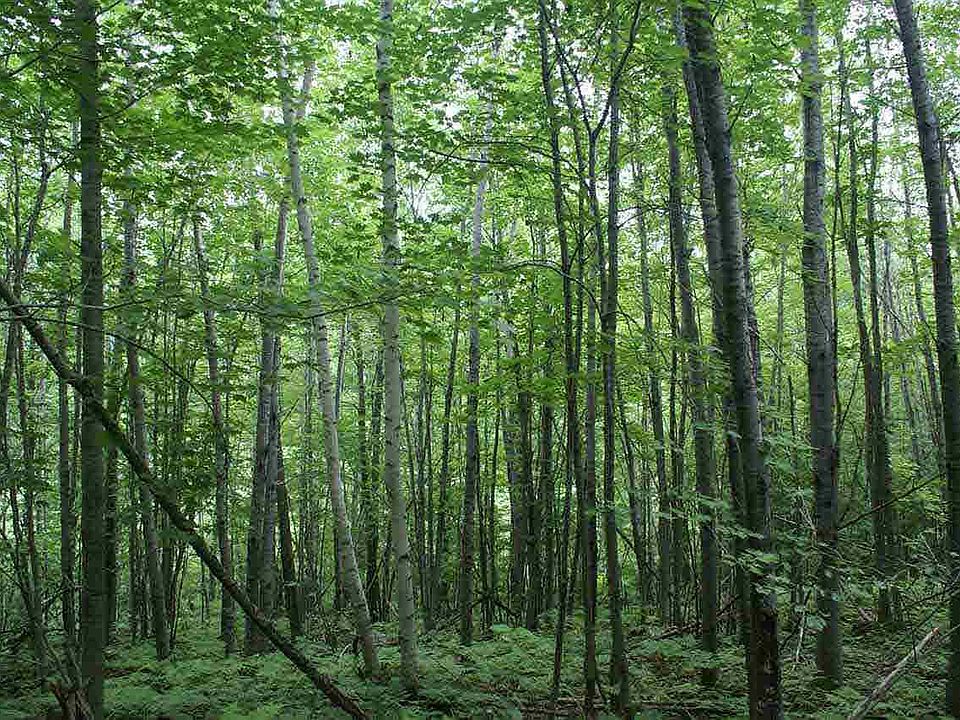 2nd image of North Parcel County Hwy H