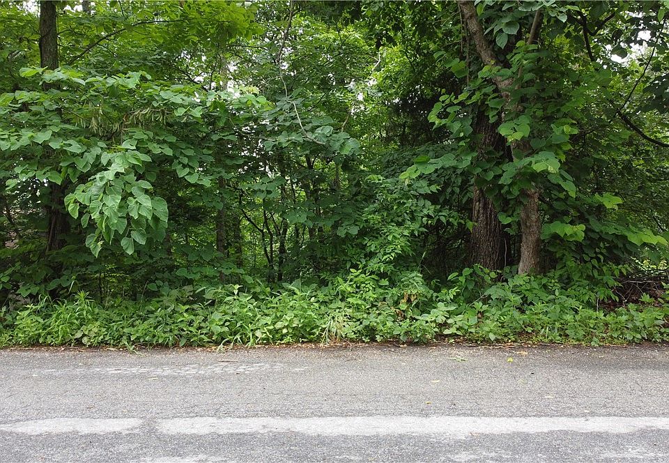 1st image of Abbey Ln #8
