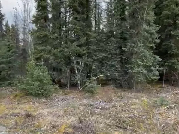 37252 Chinook St, Soldotna, AK 99669