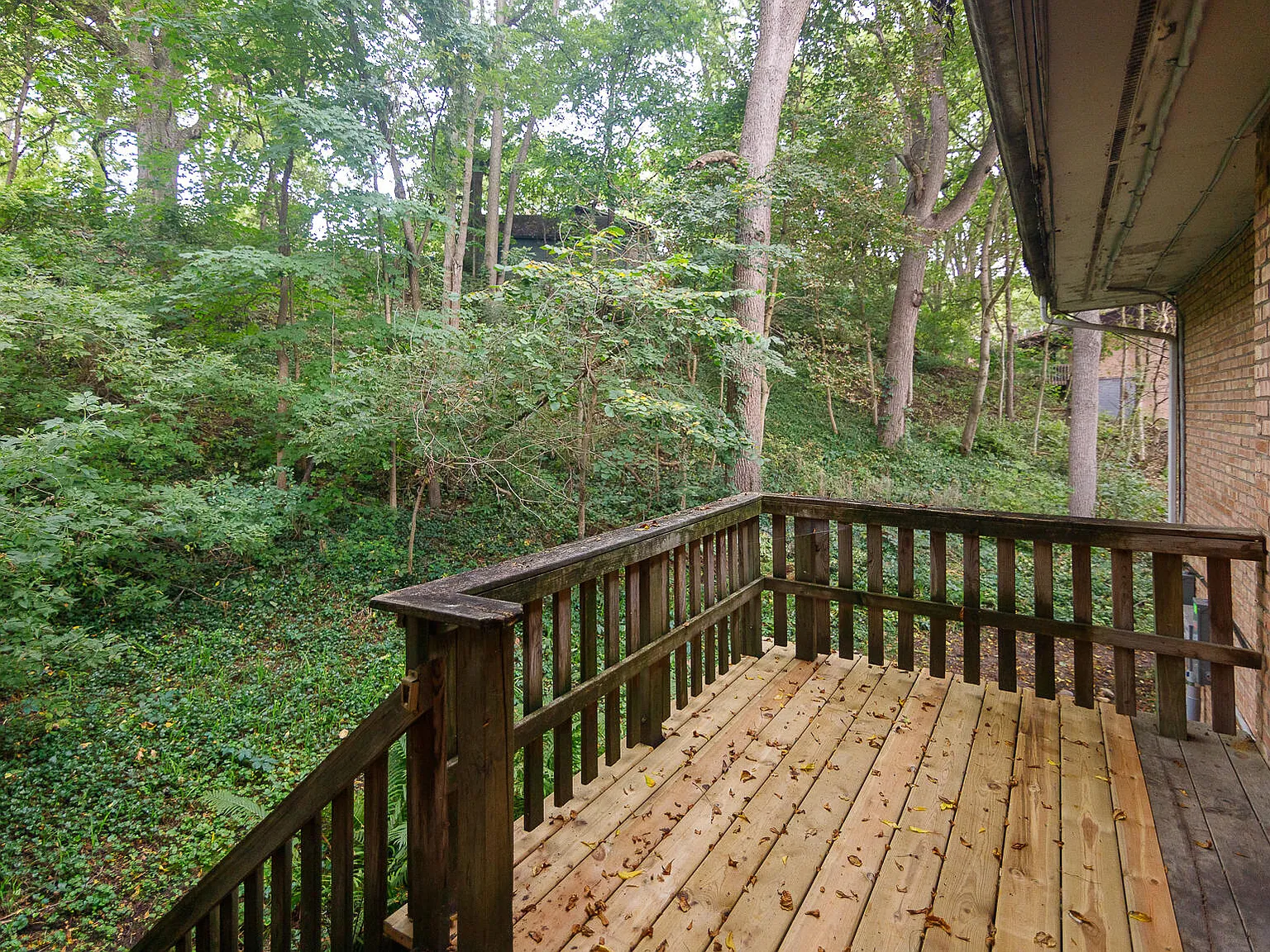 3 bed, 1.5 bath, 1373 sqft, $2,600 — Photo 1
