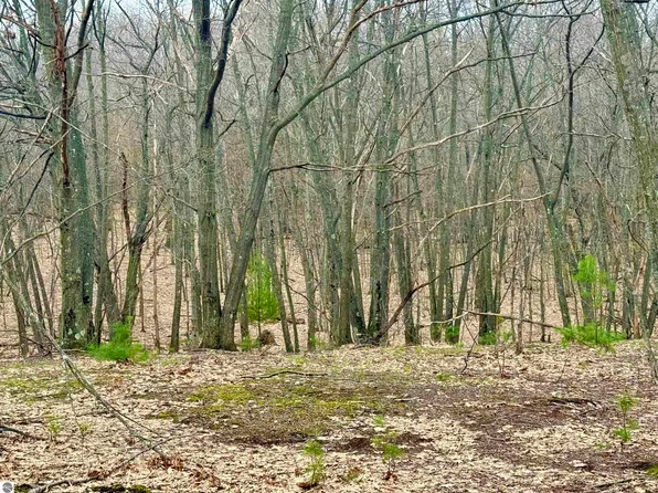 $224,900 — LOT E West Big Sky Trl, Maple City MI