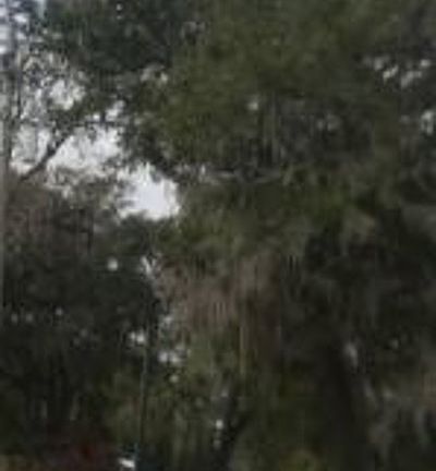 Exterior Neighborhood (street photo)