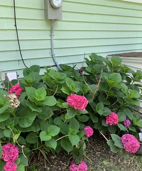 Schlegel Rd — Photo 17
