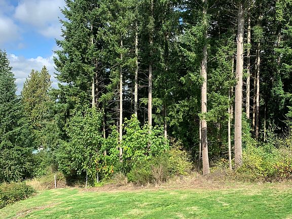 View 3 from the deck