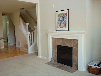 Living room fireplace