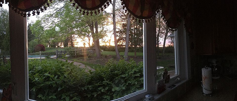 View From Kitchen Window