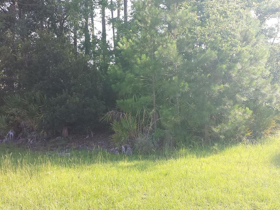 2nd image of 3372 Olympic Dr