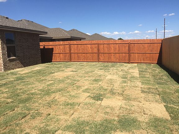 Back yard