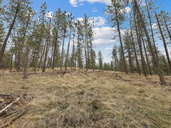 Nka Lower Weaver Way Lot 3, Deer Park, WA 99006