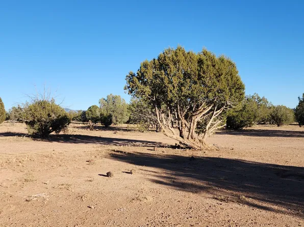 88C W Rose Ln, Ash Fork, AZ 86320