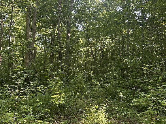 5th image of LOT 419 Grabber Ln