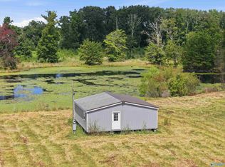 4535 Winchester Rd, New Market, AL 35761