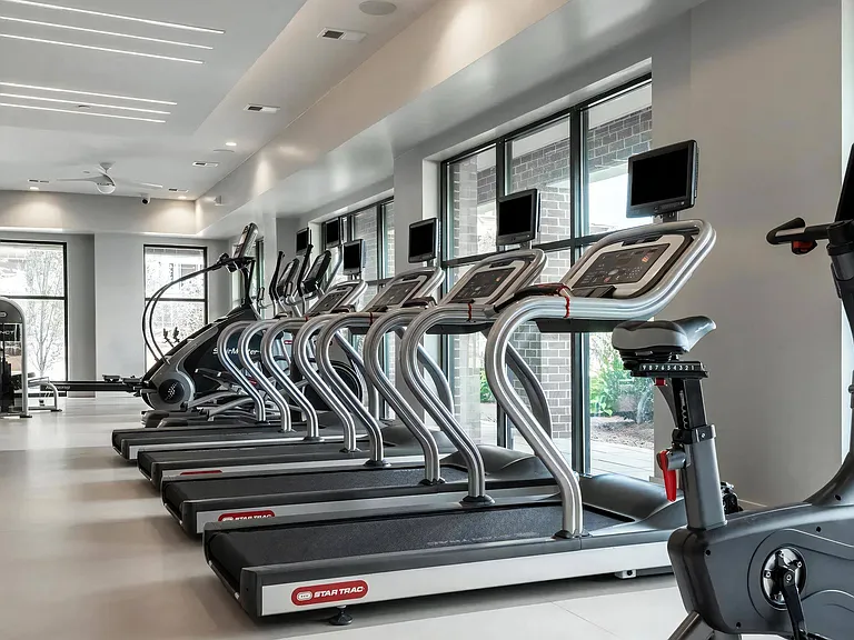 Cardio-Focused Fitness Studio with Row of Treadmills and Ellipticals