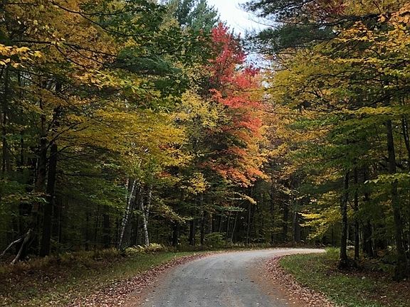 2nd image of 0 Gentian Hollow Rd