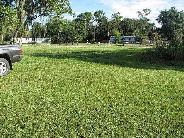 Front Yard