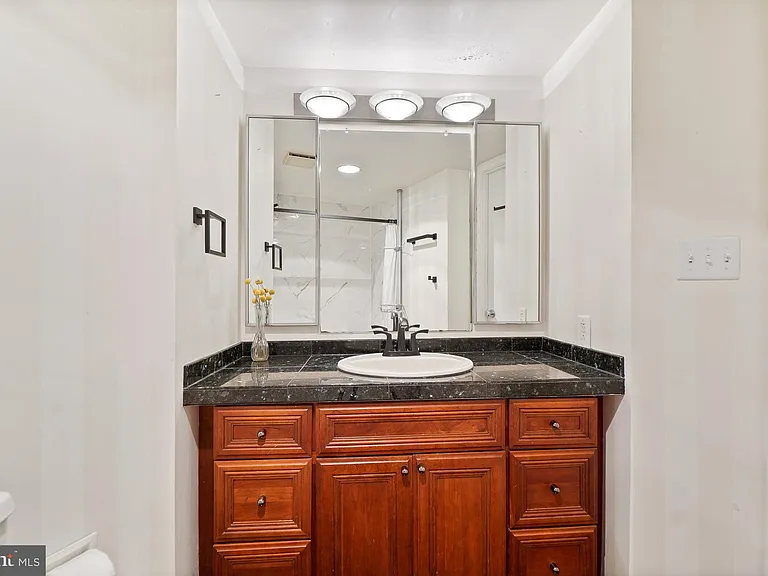 5901 Mount Eagle Dr #1517 — Photo 25