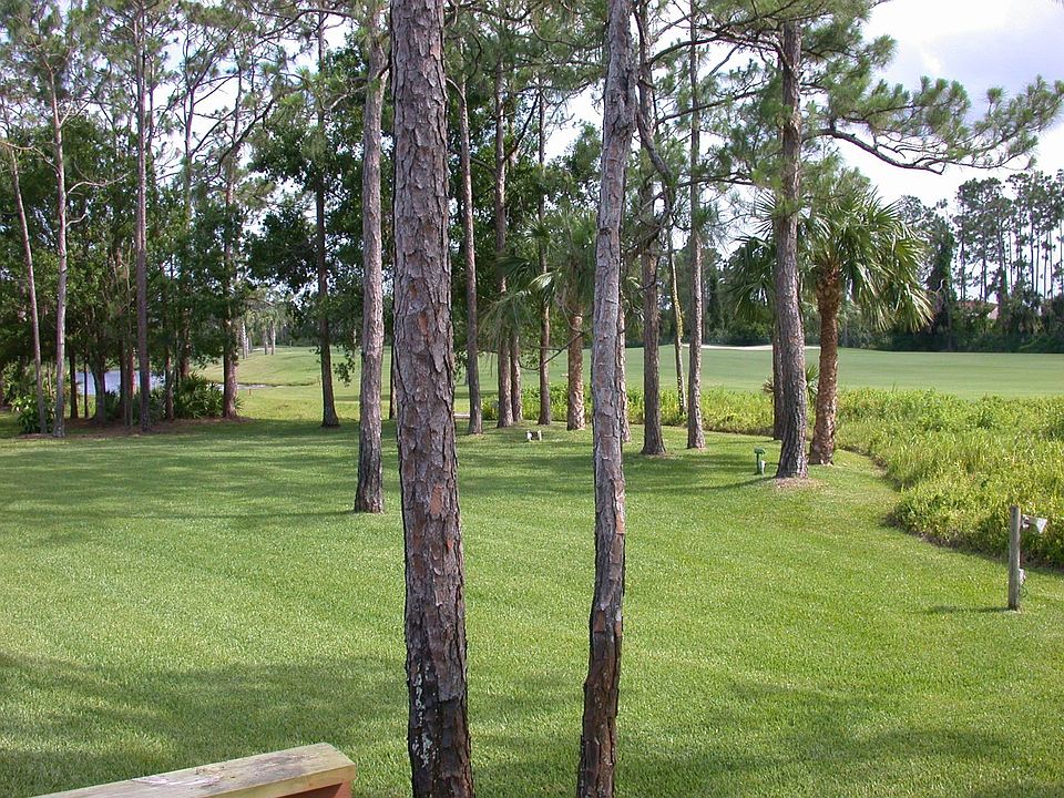 Rear Yard, 6th Fairway