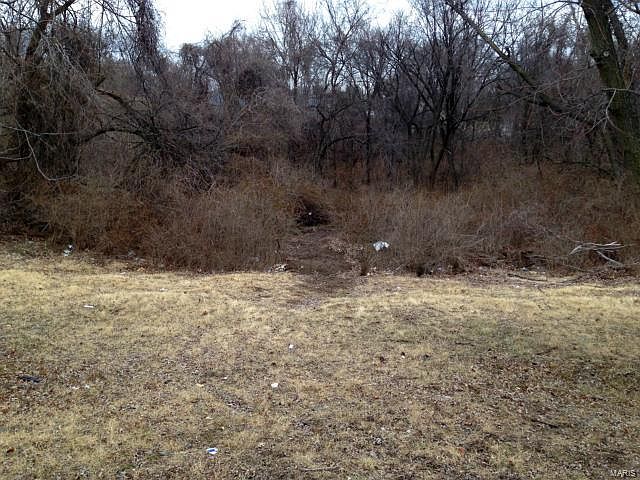 2nd image of 3709 Dunn Rd