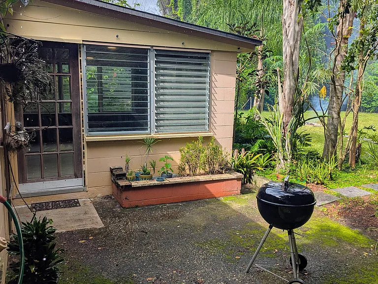 Back patio area