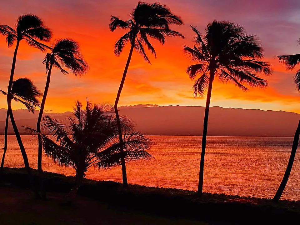 Hauoli St