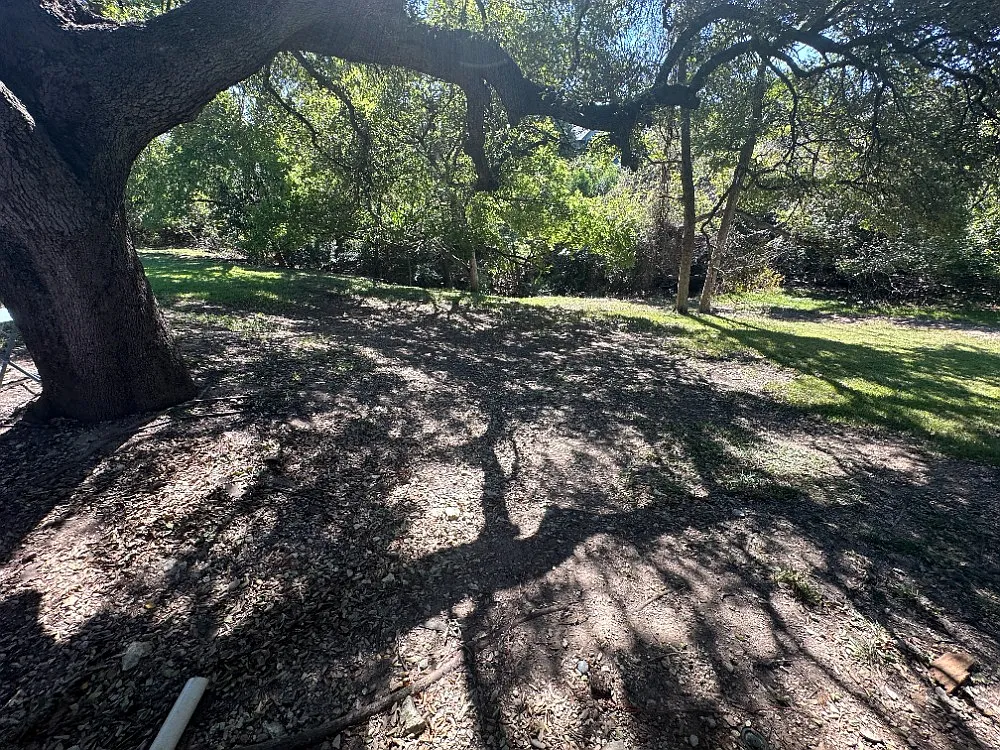 2 bed, 2.5 bath, 1042 sqft, $1,700 — Photo 2