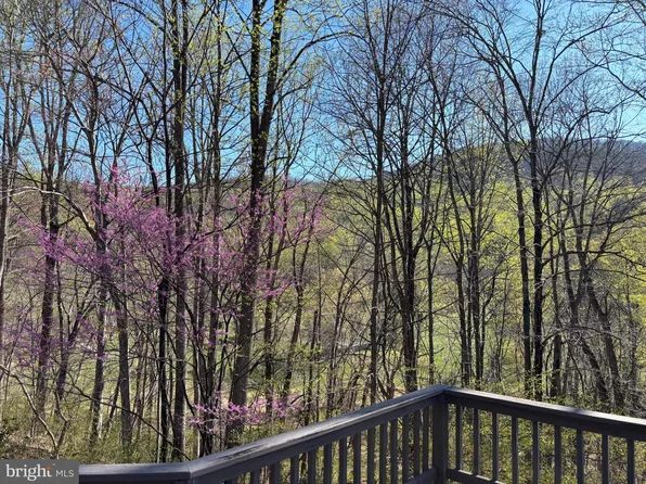 815 Gid Brown Hollow Rd, Washington, VA 22747