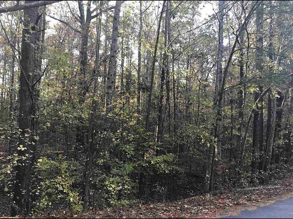 2nd image of 195 River Cove Ridge