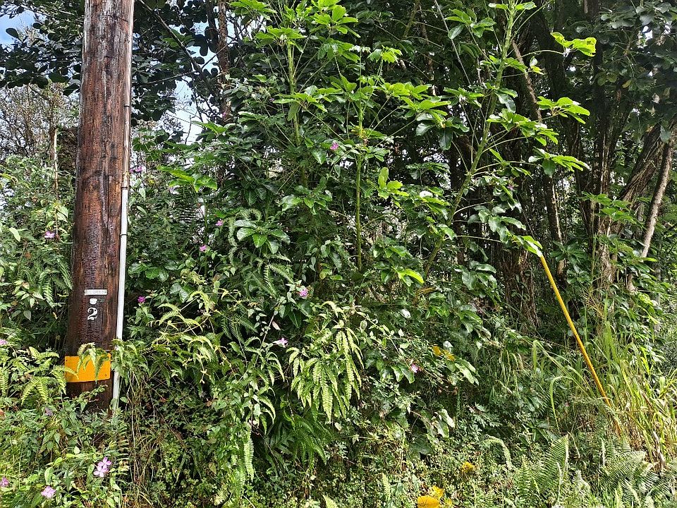 1st image of Center Cir Lot 290