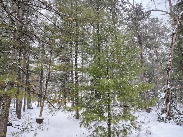 167 Deer Run Blvd, Prudenville, MI 48651