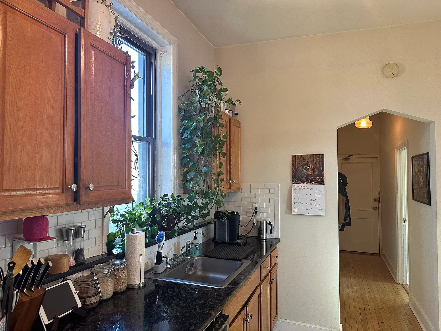 1 bed, 700 sqft, $2,500 — Photo 3