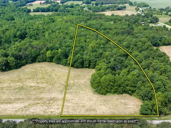0 Mann Rd Lot 1, Hollow Rock, TN 38342