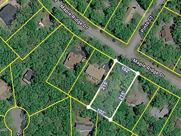 2nd image of 145 Maple Ridge Dr