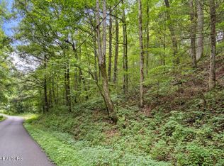 Melvin Hollow Rd, Pioneer, TN 37847