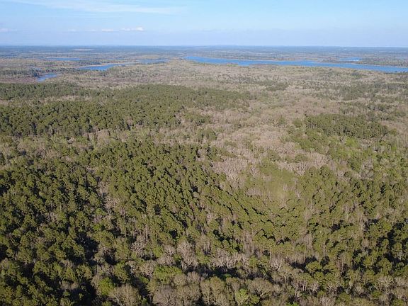 4th image of 553 Bald Eagle Rd