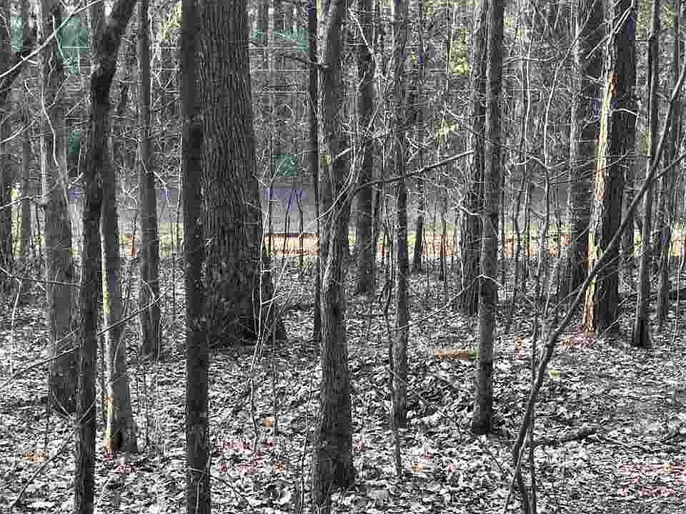 2nd image of 7613 Cottonridge Rd #0