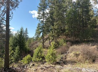 111 TBD West Curlew Lake Road, Republic, WA 99166