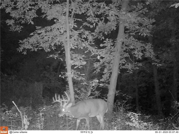 0 E Highway 6, Galt, MO 64641