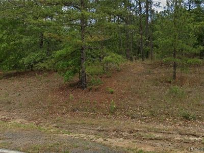 29841 Peach Orchard Rd LOT 4, Wagram, NC, 28396