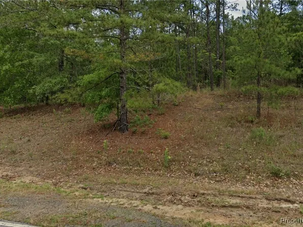 29841 Peach Orchard Rd Lot 4, Wagram, NC 28396